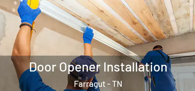 Door Opener Installation Farragut - TN