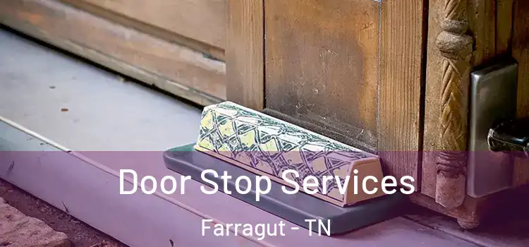 Door Stop Services Farragut - TN