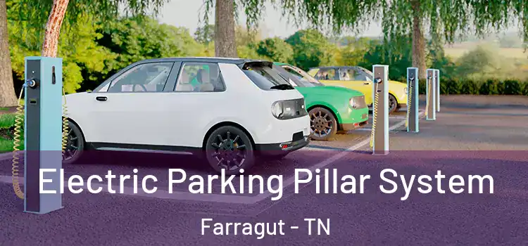 Electric Parking Pillar System Farragut - TN