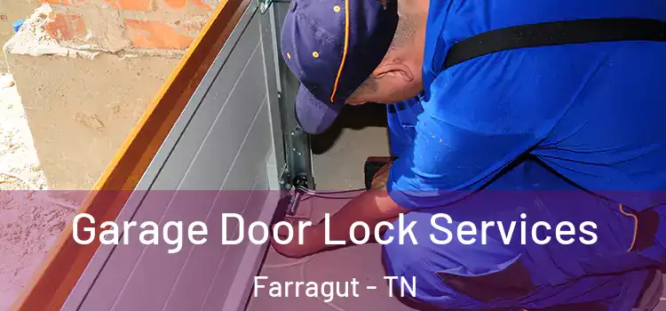 Garage Door Lock Services Farragut - TN
