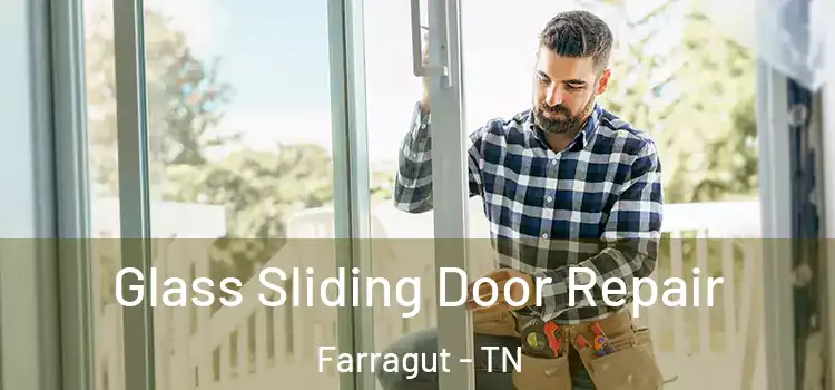 Glass Sliding Door Repair Farragut - TN