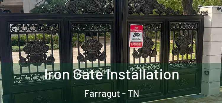 Iron Gate Installation Farragut - TN