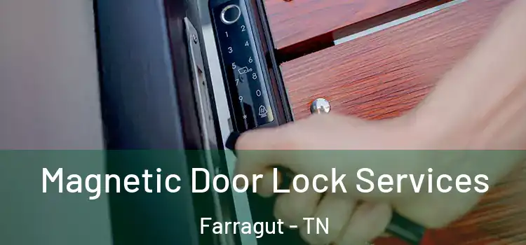 Magnetic Door Lock Services Farragut - TN