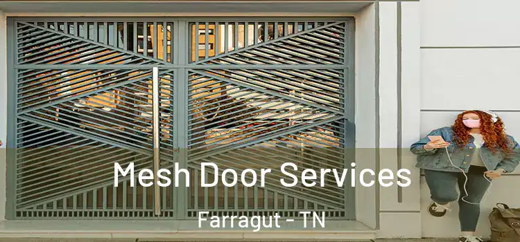Mesh Door Services Farragut - TN