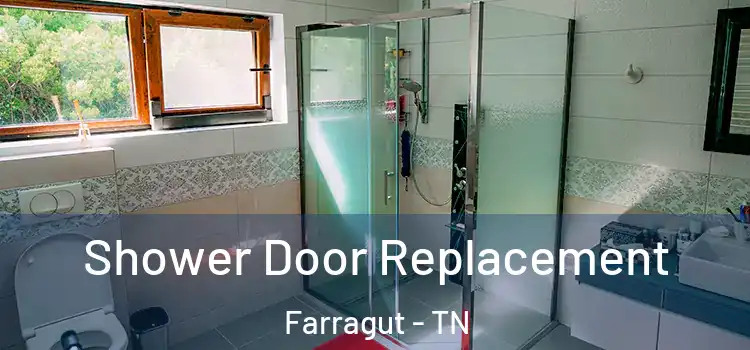 Shower Door Replacement Farragut - TN